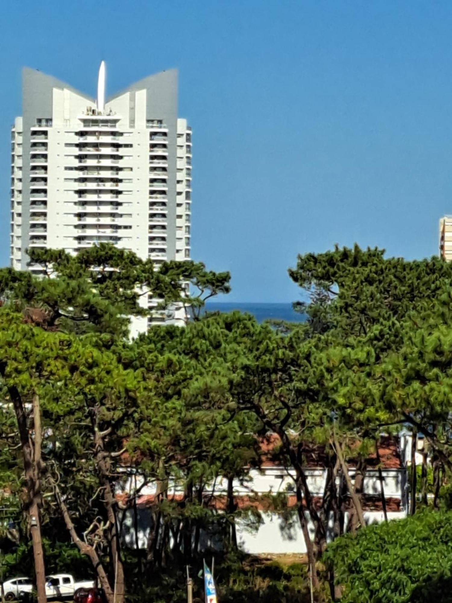 Monoambiente De Lujo En Place Lafayette - Ganadores Del Premio Award 2025 Punta del Este Bagian luar foto