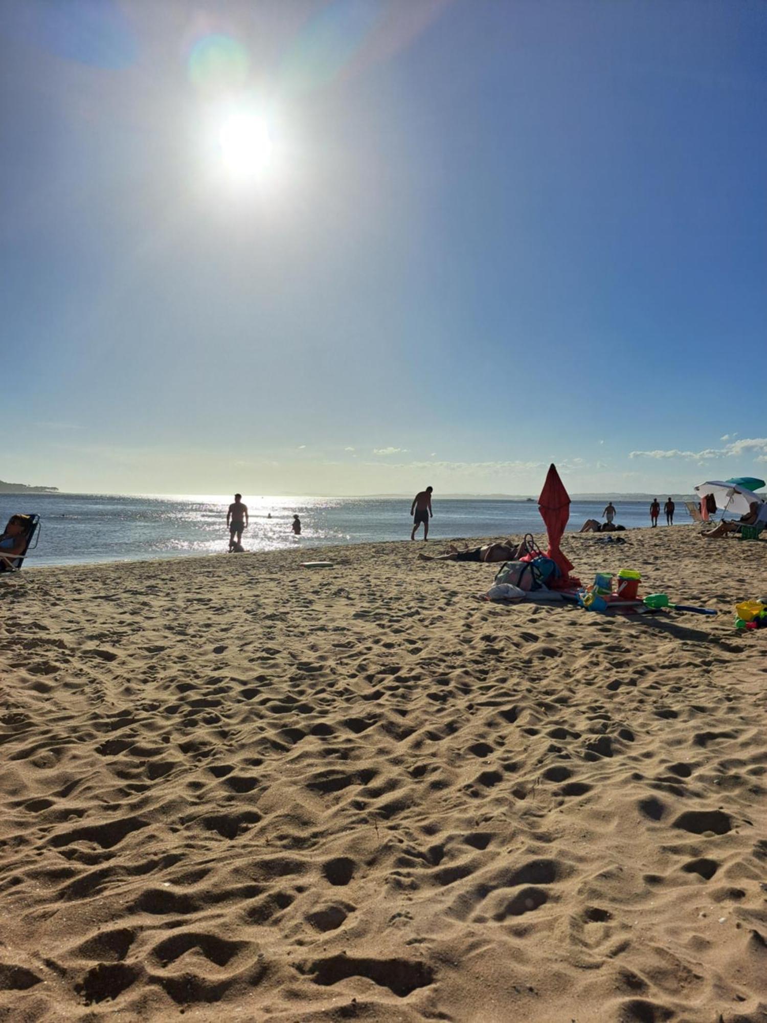 Monoambiente De Lujo En Place Lafayette - Ganadores Del Premio Award 2025 Punta del Este Bagian luar foto